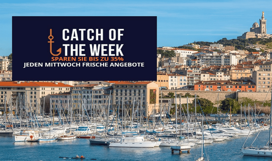 You are currently viewing MSC CATCH OF THE WEEK