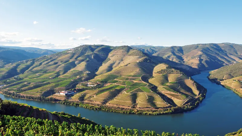 Weinterrassen im Douro-Tal in Portugal – Douro-Flusskreuzfahrt mit nicko cruises
